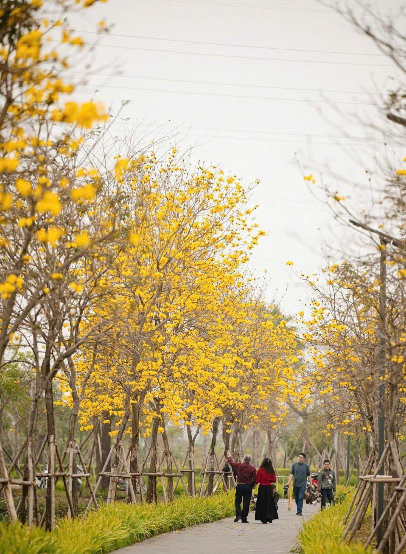 Green Hadong Hotel Ha Dong Экстерьер фото
