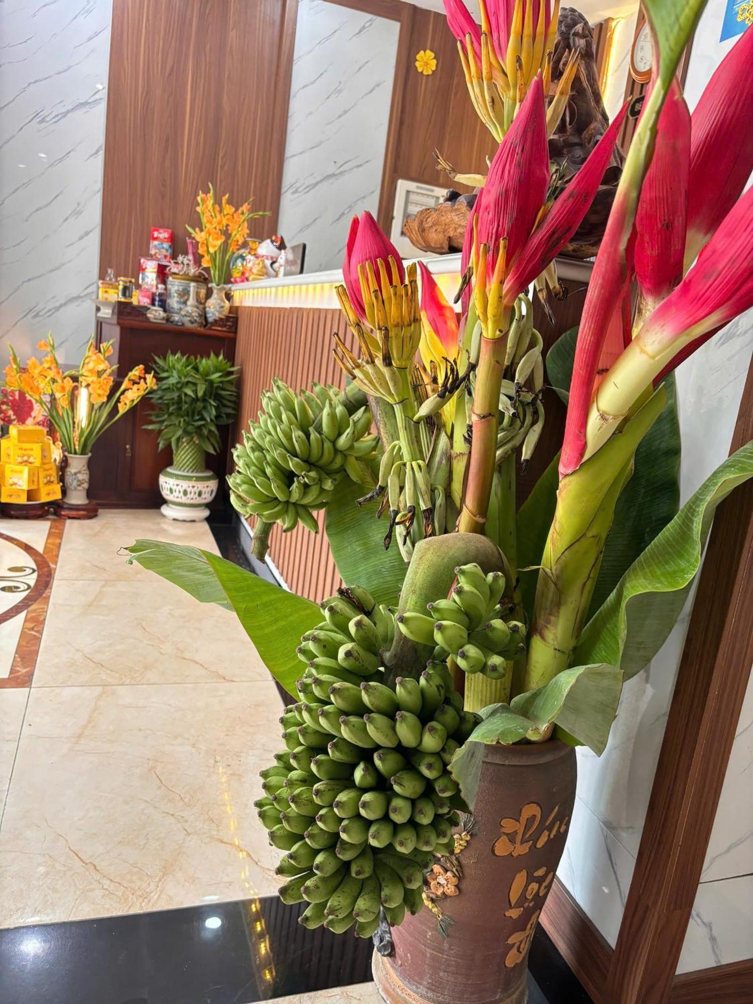 Green Hadong Hotel Ha Dong Экстерьер фото